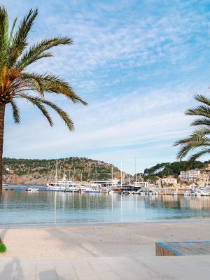 Palma Bild Palma Bild
